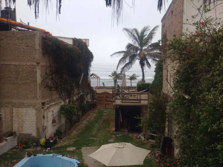 Blick über einen Garten mit Sonnenschirm und Pool auf Palmen und das Meer