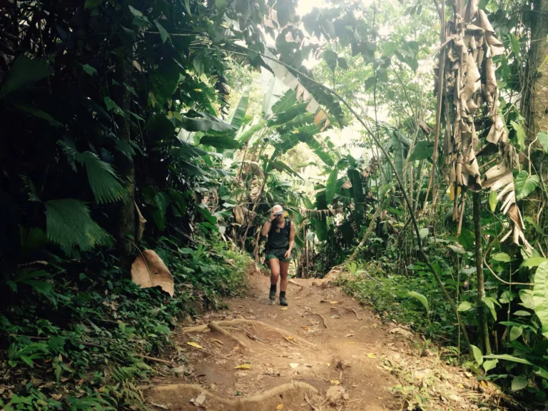 Eine Wanderin geht auf einem Lehmweg zwischen Bananenblättern und dichter Vegetation